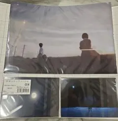 仙人掌 LIVE ON REFUGEE EP 7インチ 2枚セット販売 - メルカリ