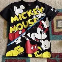 Item thumbnail for item ecd73a5b-fe1d-4f5b-97e9-e4573afa13bc