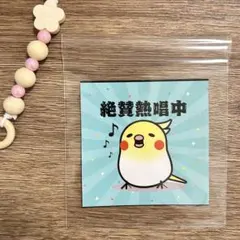 オカメインコ　ステッカー　丸型　絶賛熱唱中　シールタイプ