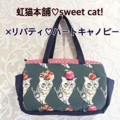 ボストントートバッグ♡虹猫本舗♡sweet cat!×リバティ♡ハートキャノピー