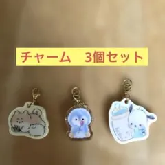 チャーム　3個セット　Sanrio サンリオ　ポチャッコ