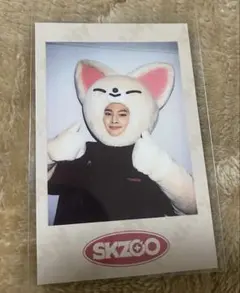 StrayKidsスキズ SKZ-X SKZOO ポラロイド　トレカ　アイエン