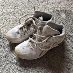 ASICS バスケットボールシューズ ホワイト/ゴールド