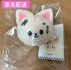 アイエン　フォクシニー　ネームタグ　スキズ　KARMA ポップアップ