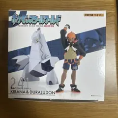 ポケモンスケールワールド　キバナ&ジュラルドン