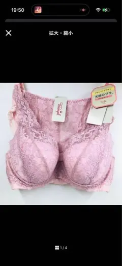 Item thumbnail for item 5da7c9ba-79d3-482c-bd17-251ac4f46a59