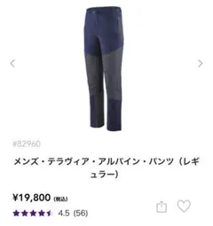 パタゴニア　トレッキングパンツ　テラヴィア　アルパイン　美品