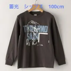 恐竜　ロンT １００cm