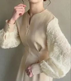 WILLFULLY】 オーガンジーフラワーボリュームスリーブパネルワンピース