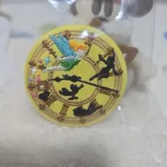 ディズニー 刺繍缶バッジ ピーターパン