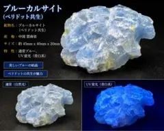 2026年最新】ペリドット共生の人気アイテム - メルカリ