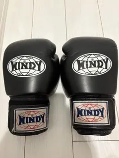 Item thumbnail for item 3b271670-8cd3-4be9-a12c-7e42a95b3c84