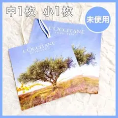 ロクシタン LOCCITANE ショッパー ショップ袋 2枚 セット