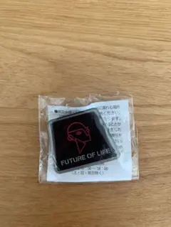 Item thumbnail for item 1b533319-8c14-438d-802e-2ee4eb0941bd