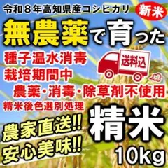 農薬不使用♦️最高級希少米】10kg精米✴︎新潟県長岡産コシヒカリ