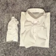 Item thumbnail for item af551e5f-55b4-4b4c-9812-94428dd7a18d