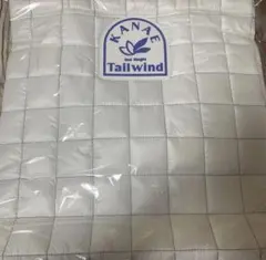 Item thumbnail for item b506265e-c36a-4aaa-bca1-c0417c2fb6b5