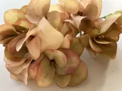 Item thumbnail for item 9776801e-6300-4ec1-b701-3074075baced