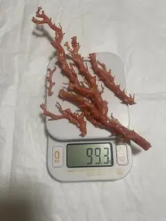 珊瑚 サンゴ 原木 希少 重さ54g オブジェ 置物 素材 - メルカリ