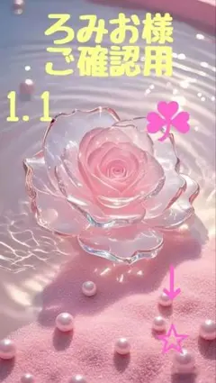 【ろみお様ご確認用】フラットポーチなど✩