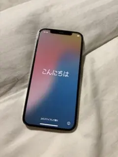 Apple iPhone 12 Pro 256GB 本体