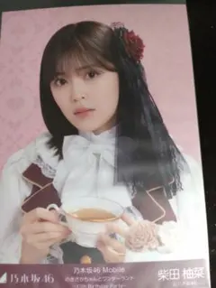 乃木坂46 岩本蓮加 チャンスメール当選品 限定生写真 - メルカリ