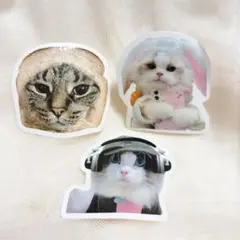 Item thumbnail for item 9549233f-16f5-43e3-ad06-5714f6f13efb