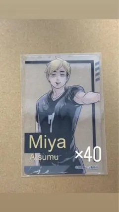 ハイキューファンパーク 箔押しクリアカードコレクション 宮侑