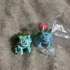 モンコレ初期 フシギダネ フシギソウ フシギバナ 3点セットポケモン