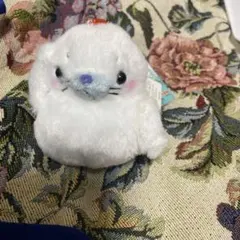 サンエックス - ☆平成レトロ☆ソラネコ　ぬいぐるみ　ポーチ　サンエックス　にゃんにゃんにゃんこ 平成レトロ☆サンエックス☆ソラネコぬいぐるみポーチ ‪☆激レア‬