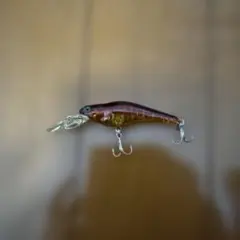 2026年最新】スピンムーブシャッドの人気アイテム - メルカリ