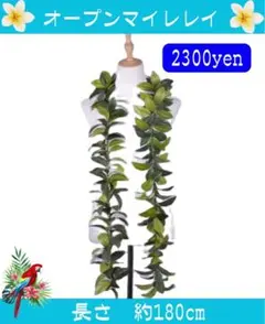 オープンマイレイ レイ 約180cmのサムネイル