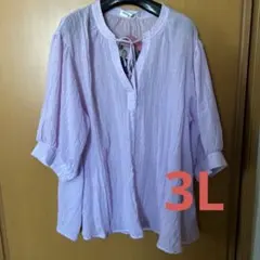 新品 大きいサイズ 3L Hina plus Keiko ブラウス