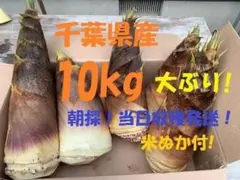 愛知産 朝堀新鮮たけのこ 約20キロ 収穫出来次第で即日発送！ - メルカリ