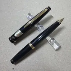 パイロット 万年筆 14k M(中字) 根岸S GⅢビッググラス マークリー牧場