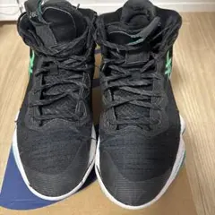 ASICS バスケットボールシューズ 28.0cm ブラック　ノヴァサージ2