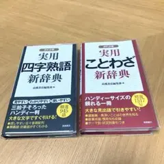 新品　実用 四字熟語・ことわざ 新辞典