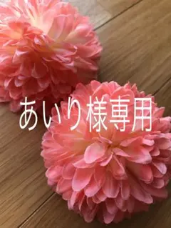 あいり様専用