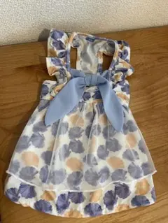 Item thumbnail for item b90cf542-249d-47e7-aeaf-6a90234cf2ee