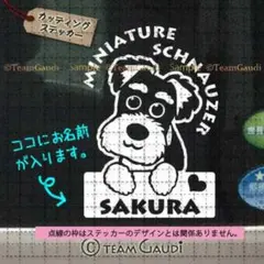 ミニチュアシュナウザー No.3　名前入 カッティング　ステッカー シール　犬