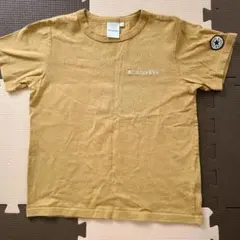 CONVERSE コンバース Tシャツ 140cm マスタード