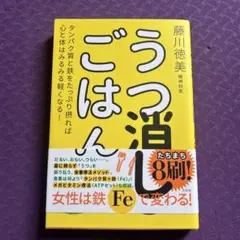 うつ消しごはん タンパク質と鉄をたっぷり摂れば心と体はみるみる軽くなる!