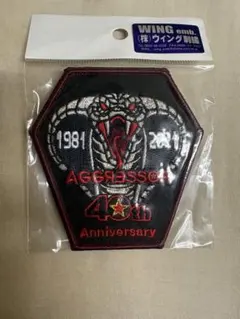 航空自衛隊　小松基地　飛行教導隊　40周年記念パッチのサムネイル