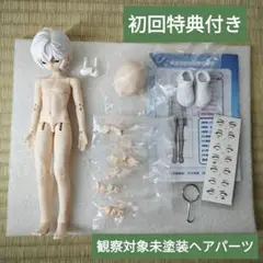 zack event ザック・イベント 観察対象 未塗装ヘア ボディ1/8ドール