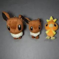 公*o様 イーブイ＆アチャモ(2010年Ver.) ポケモンセンター限定 連れ歩