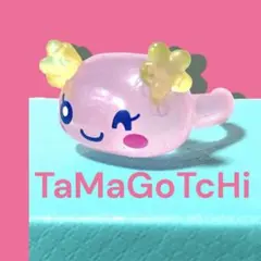 ✳タイムSALE✳未使用✳たまごっち・ぷくっとクリアリング・ふらわっち