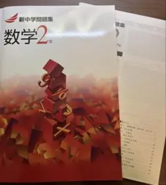 【中学数学】【新中学問題集】 数学2年 解答と解説付き