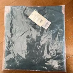 【新品】エクストラファインメリノウール Lサイズ グリーン長袖