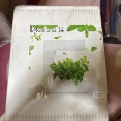 水耕栽培キット Akarina14のサムネイル