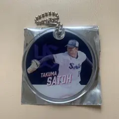 Item thumbnail for item ee005299-6733-4c1a-9ed3-10be9f9086bb